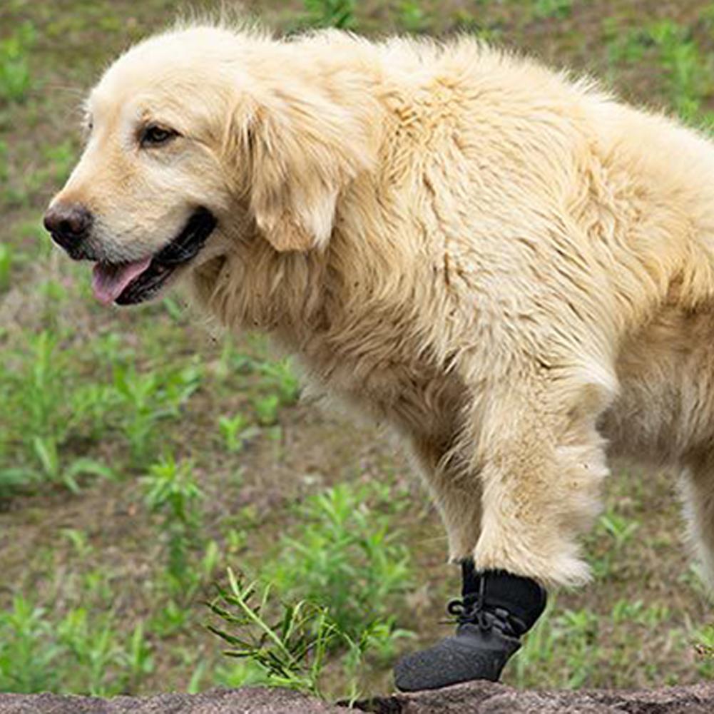 Title 4, Chaussures antidérapantes pour chiens, 4 pièces...