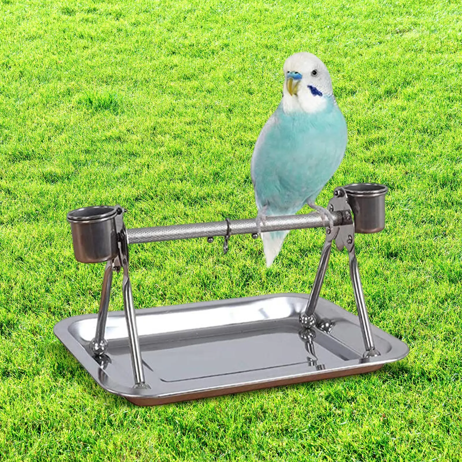 Bird Perch Stand Desktop Bird Cage Perch with Feeding Cups Gym for Lovebirds
