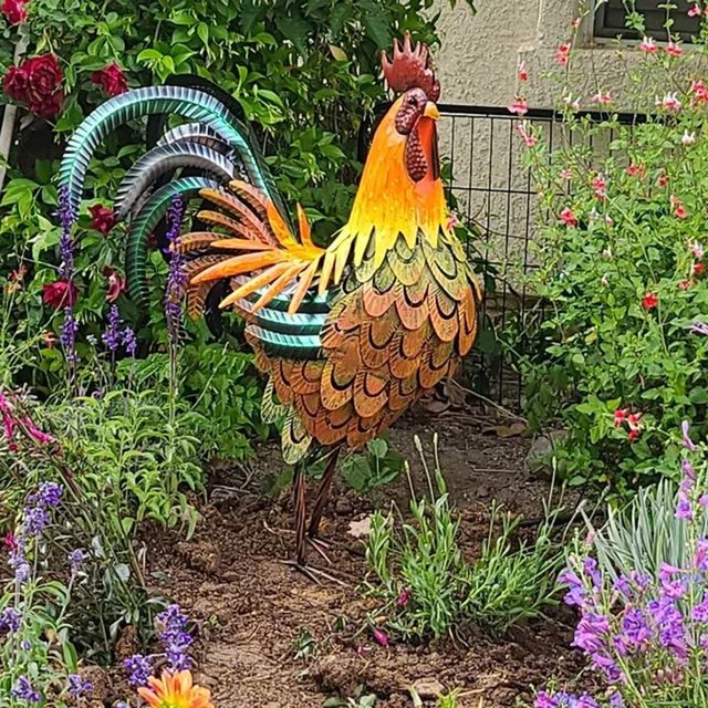 Large Recycled Metal Sculpture - Rooster & Chicken