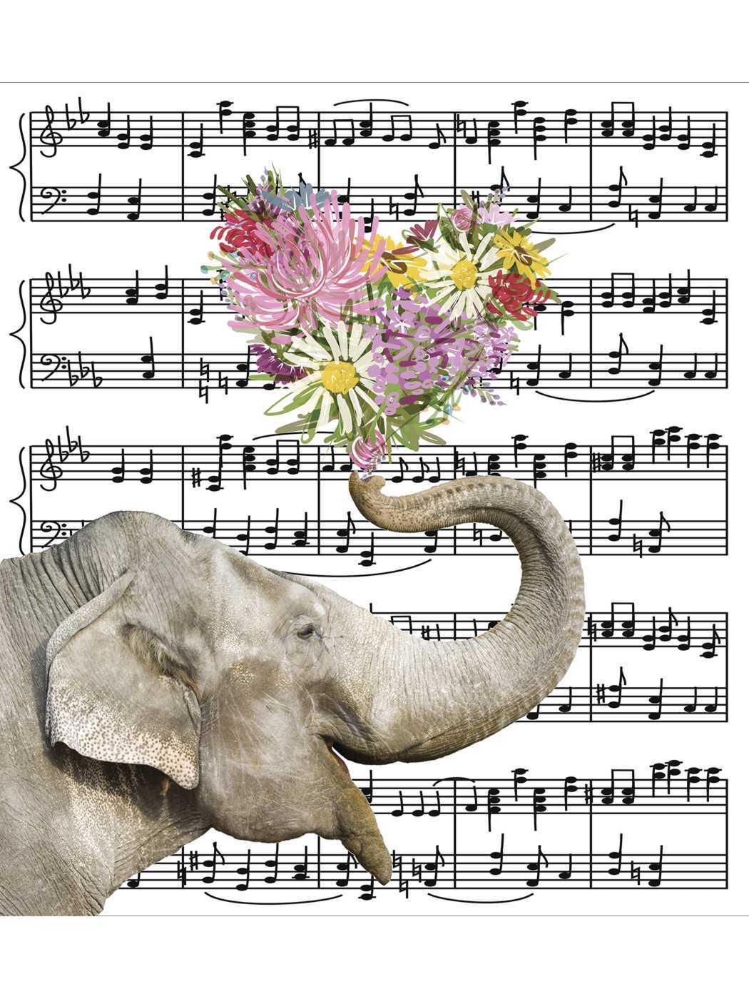 песня elephant. Nk песни elefante. Mary the elephant песня перевод. песня elefante. Elephant обложка альбома.