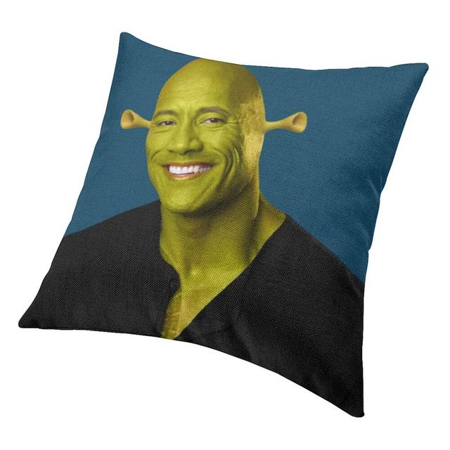 Sobrancelha meme dwayne the rock johnson capa de almofada 35x35 cm veludo  lance travesseiro caso decoração da sua casa cama escritório sofá fronha -  AliExpress