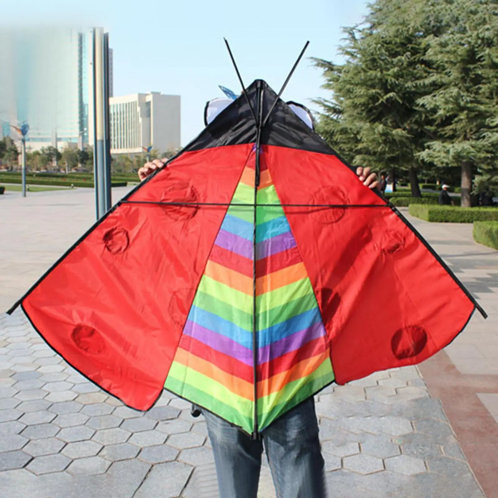 Foldable Triangle Ladybug Kite Fly Kite Easy to Fly Huge Wingspan Fun Toy Single Line Large Delta Kite for Park Beach Garden