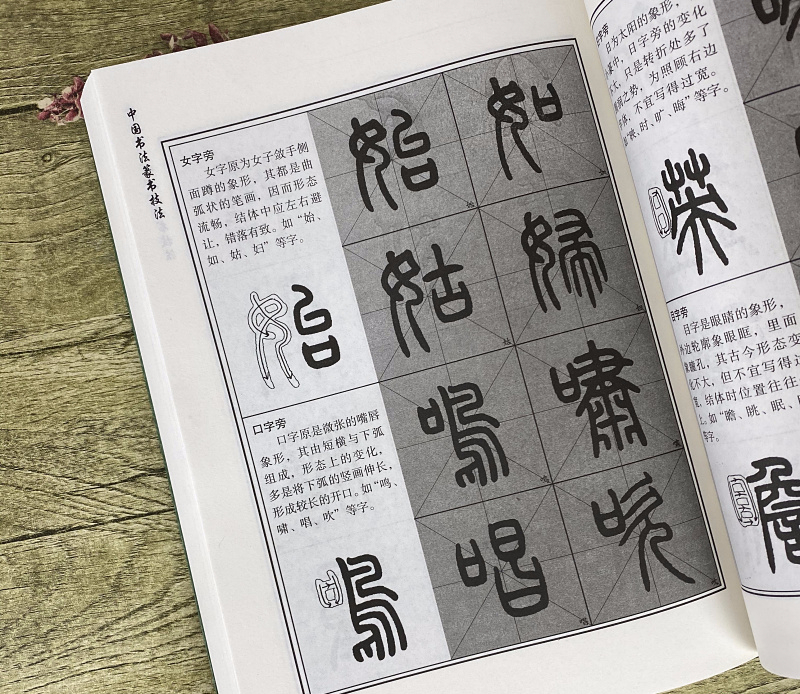 Copybook Chinês Caligrafia Selo Script Técnica Começar Tutorial Clássicos Chineses Calligraphie Prática Conjunto 9 Beauty & Health