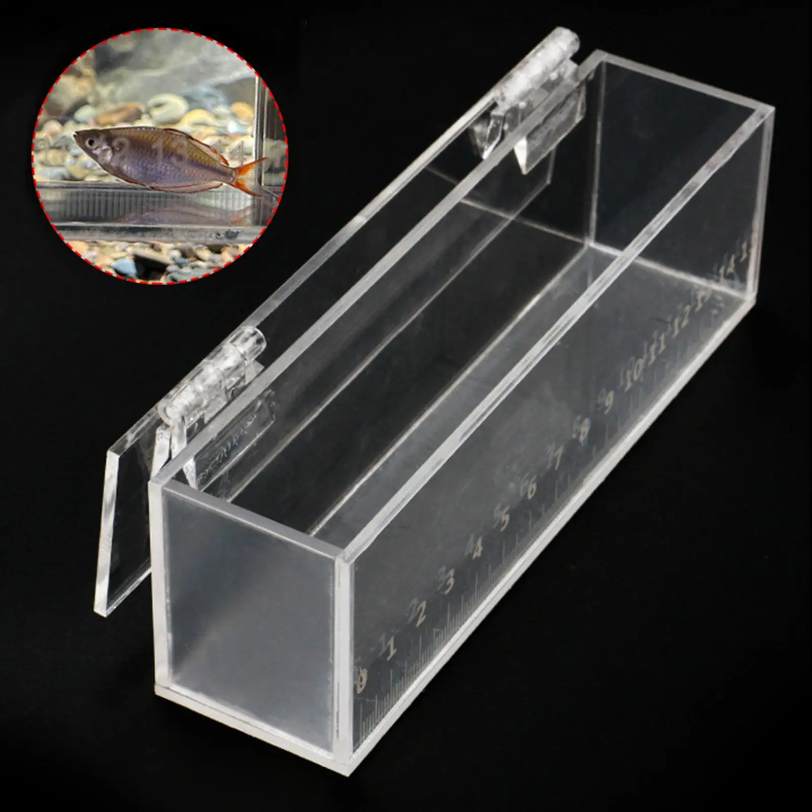 Fish Viewing Box Acrylic mini Aquarium Transparent Holder Fishing Photo Tank Fish Breeding Tanks Hatching Boxes with Scale