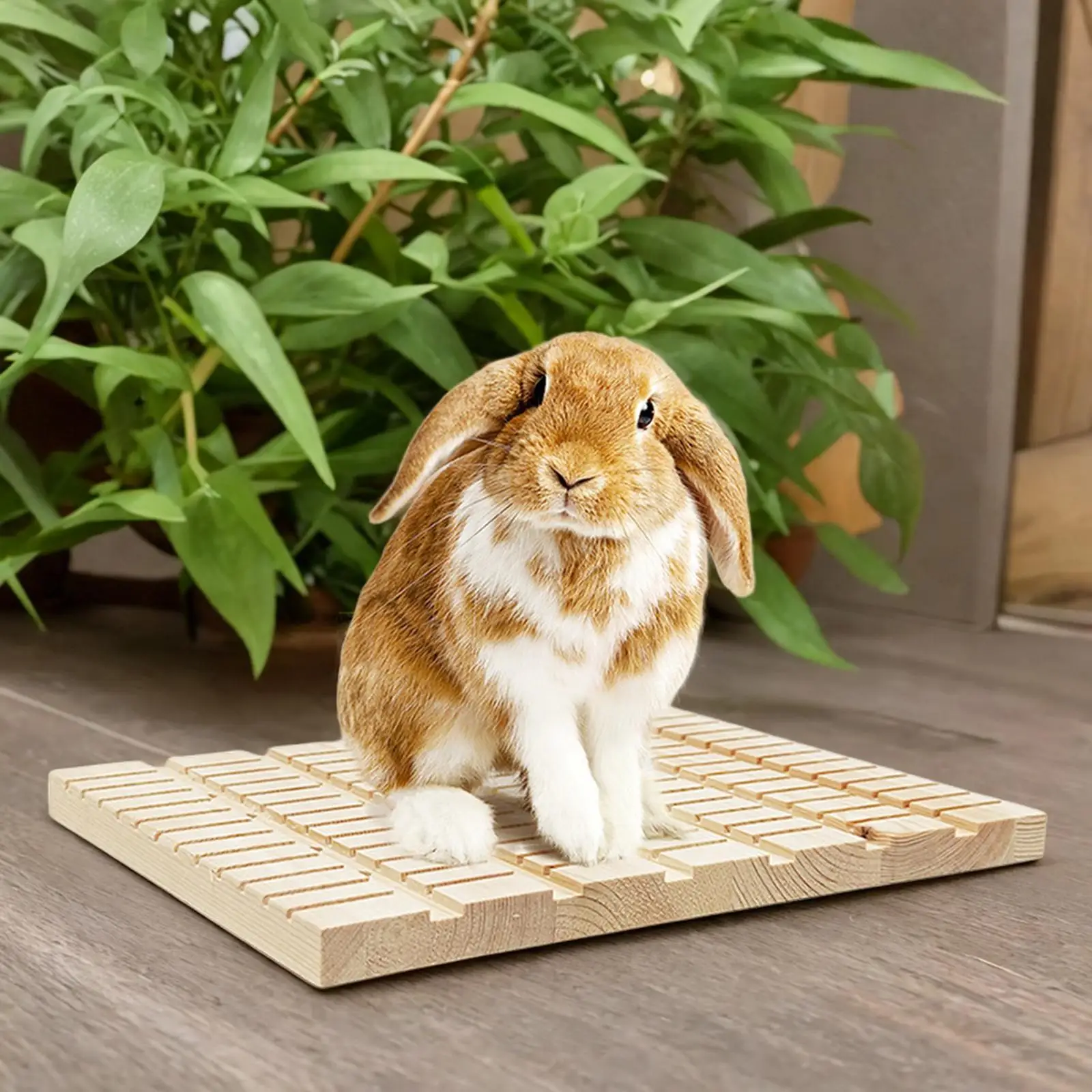 Rabbit Scratching Board Grinding Claws Rabbit Toys Cage Accessories Pad Chew Toys for Bunny Small Animals Chinchilla Hamster Rat