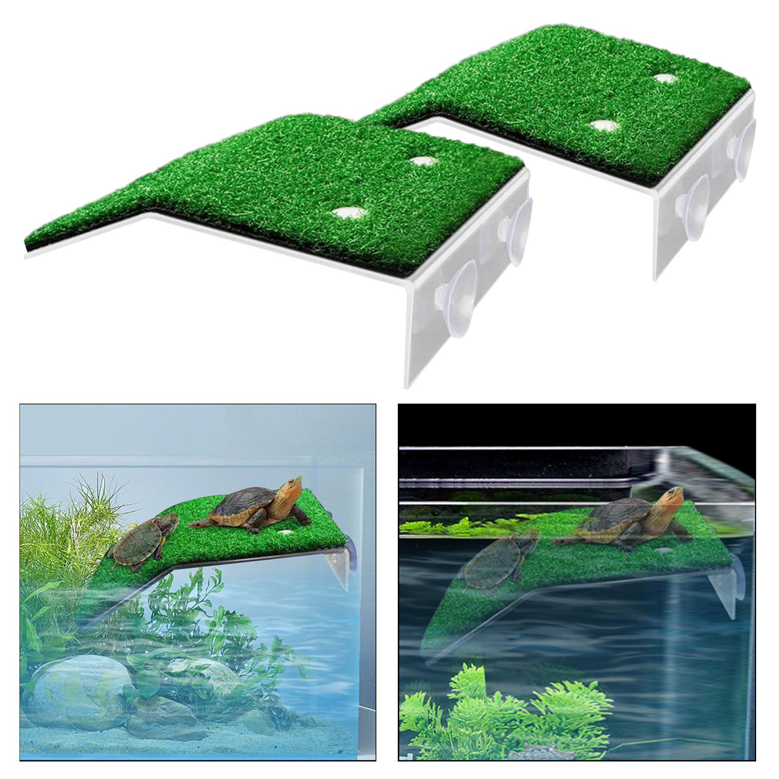 Title 3, Turtle Basking Platform Reptile Habitat Simulat...