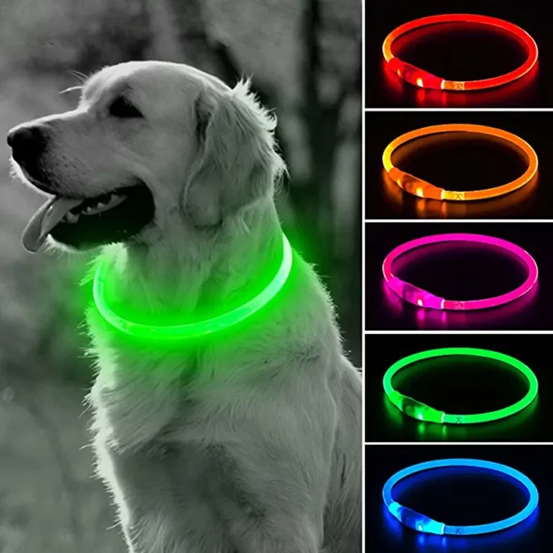 Title 1, Lumière Led collier de chien détachable brillan...