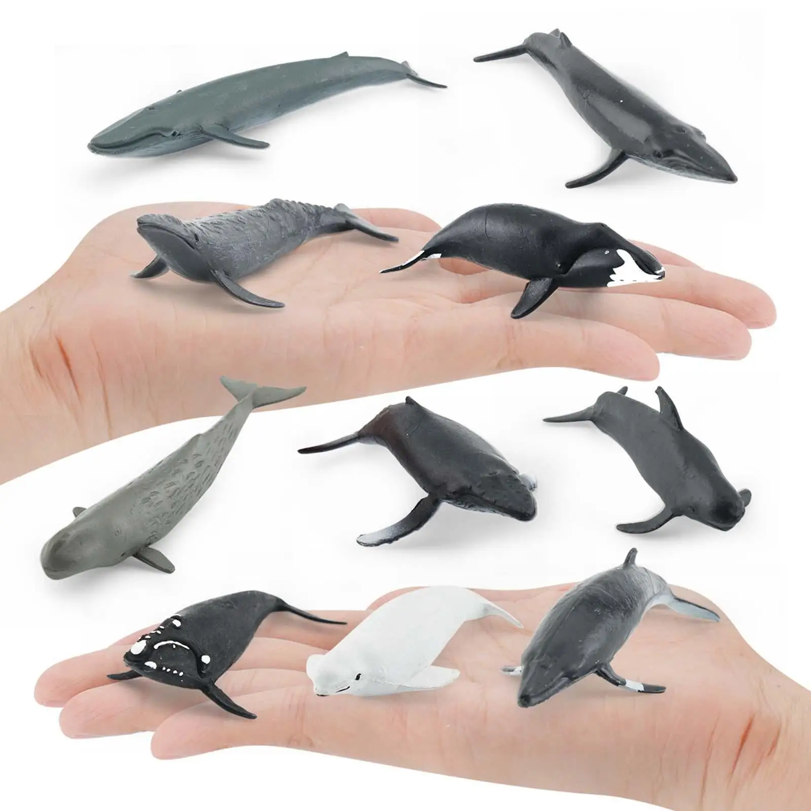10 Pieces Simulation Lifelike Shark Miniature for Party Favors Classroom Prop Kids Toy