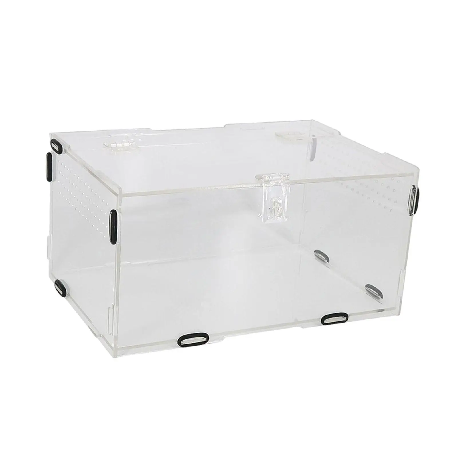 Reptile Breeding Box Transport Container Carrier Clear for Scorpion Snake