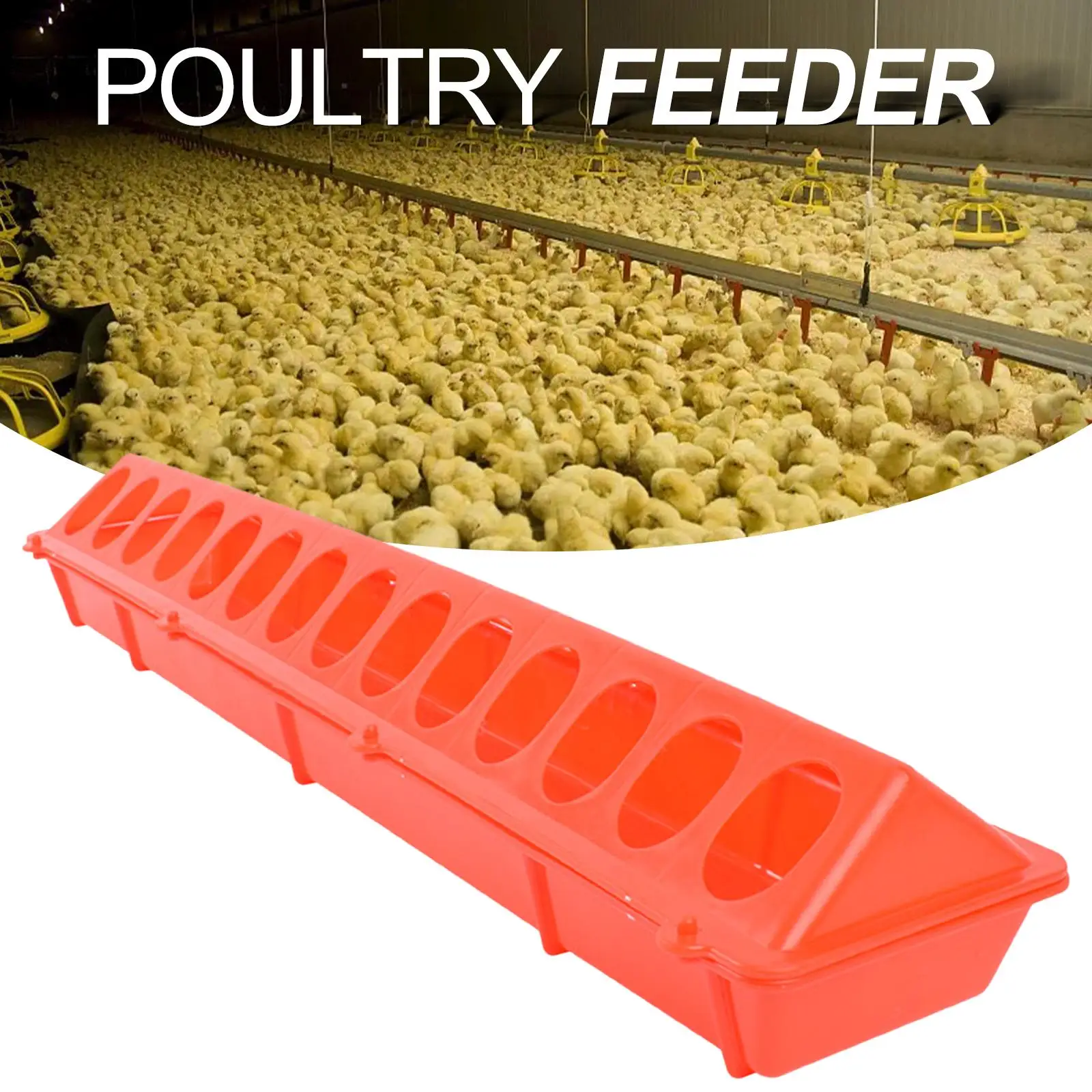 Plastic Flip Top Poultry Feeder Birds feed Long Trough Water Bowl Farming Tool Box for Peacock Pheasants Cockatiels Chick Pigeon
