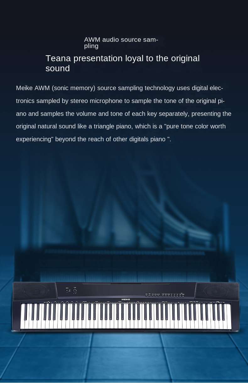 Title 11, Portable Electric Piano 88 Key Professional Adu...