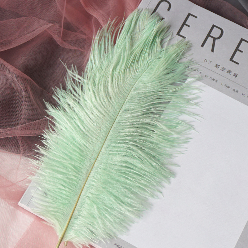 Title 3, INS Ostrich Feathers Photo Props Ornaments Man...