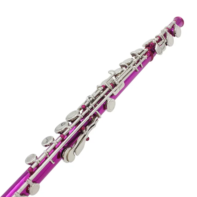 SLADE 16 Holes C Tone Flute With E Key Pink Professional