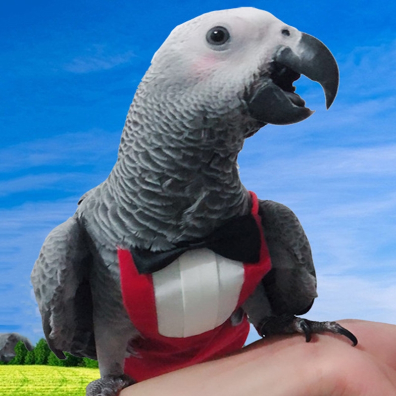 Bird Diaper Flight Suite, schützende Papageienwindeln mit wasserdichter Innenschicht, niedlicher Urin-Nassanzug mit Fliege für – Detail 5