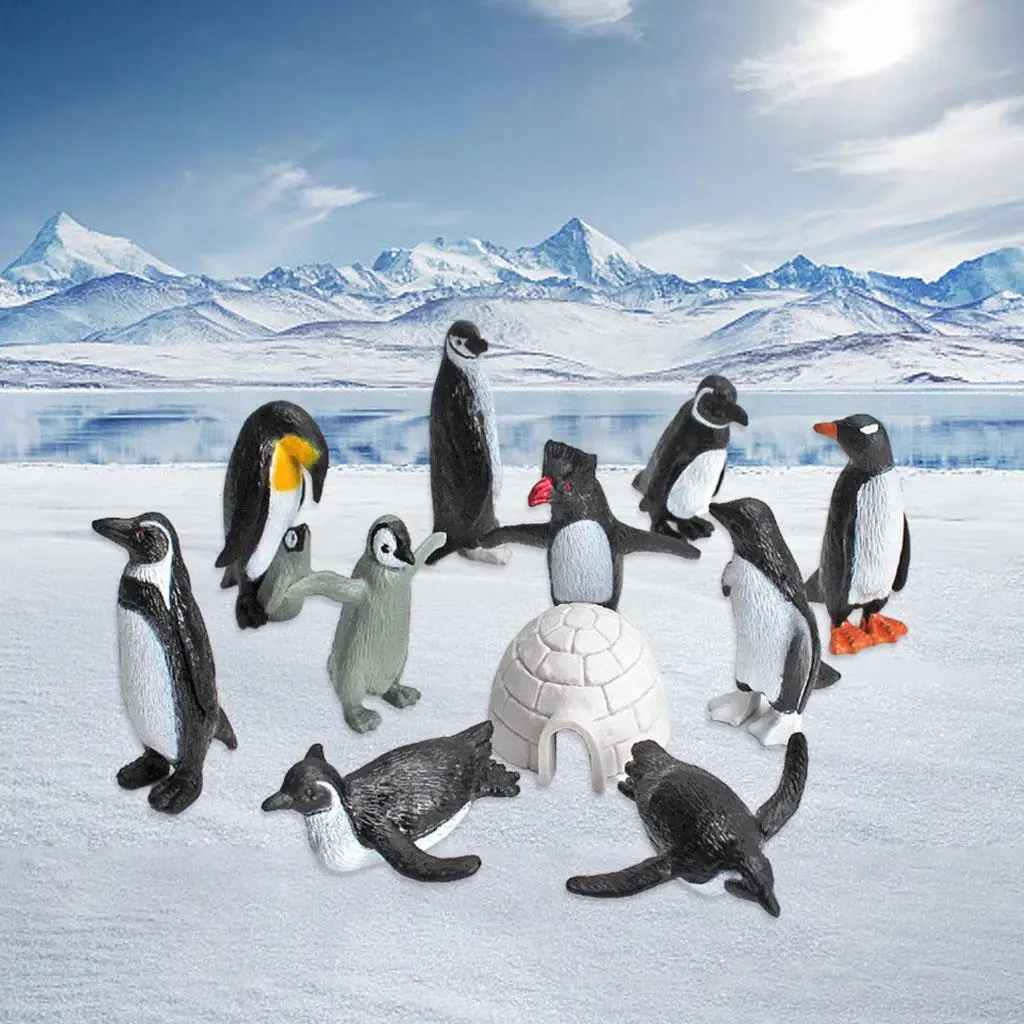 11x Simulation Animal Penguin Toy Educational Toys for Collectibles