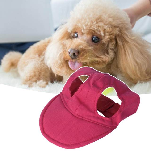 Hot Pet Dog Hat Cap Baseball Fashion Hat For Dogs Casual Canvas Cap For Dog  Hat Chihuahua Yorkshire Summer Hat Sun Bonnet Cap - AliExpress