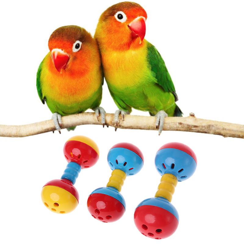 Title 5, Bird Colorful Plastics Interactive Dual Balls ...