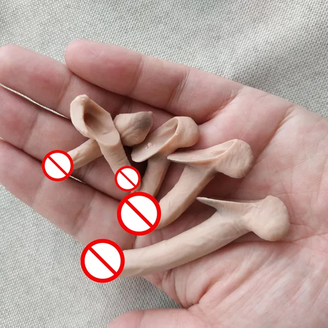 5PCS 1/6 SCALE Accessories Model Male Genitals Organ JJ Penis F 12