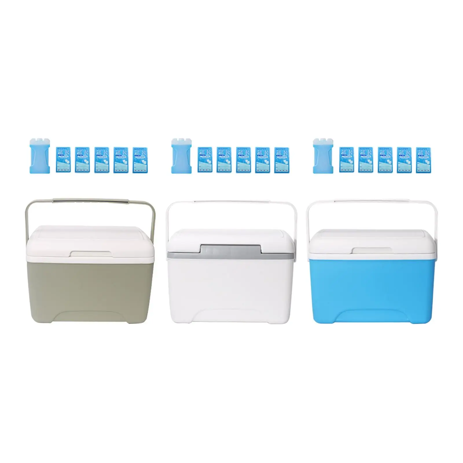 8L Insulated Portable Cooler Beverage Storage Organizer Food