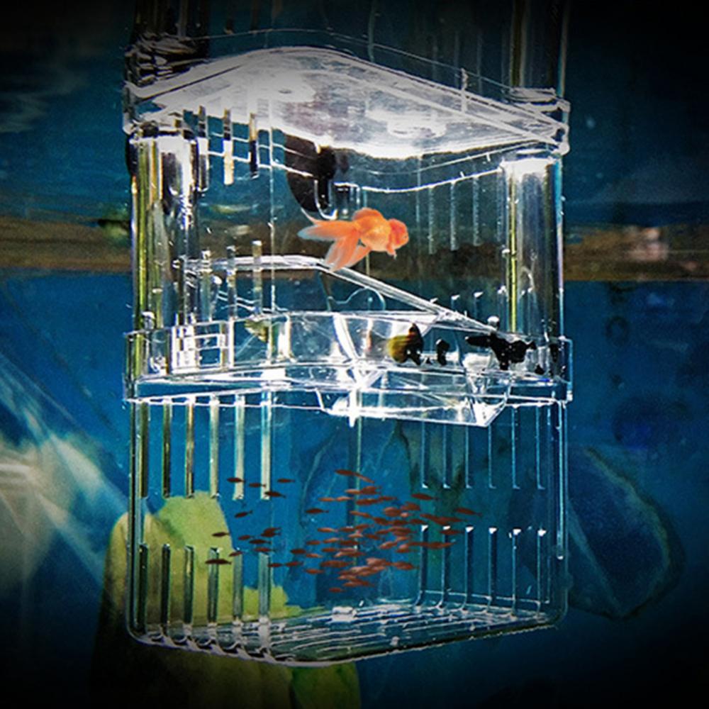 Title 5, Acrylic Clear Fish Breeding Isolation Box Betta...