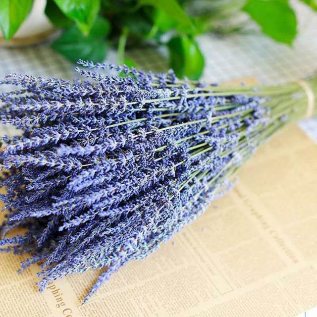 1 Box Multi-purpose Vibrant Wedding Decor No Wither Refreshing Natural  Dried Lavender Dried Lavender Decor Plants Decor - AliExpress