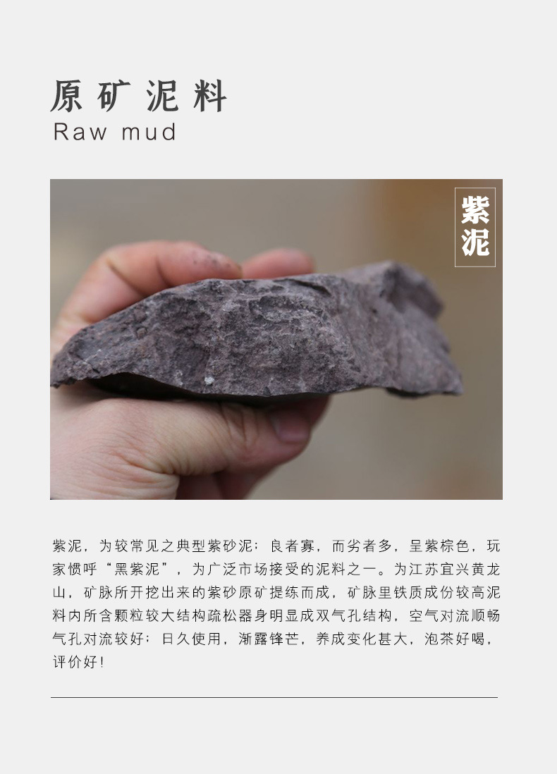 Ganoderma Ruyi_16.jpg