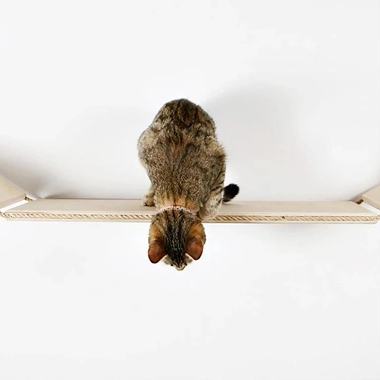 Wall Mounted Cat Hammock DIY Wall Shelf Perches wood Climbing Step Bridges for Large Cats Pet Cats Indoor Cats Playing