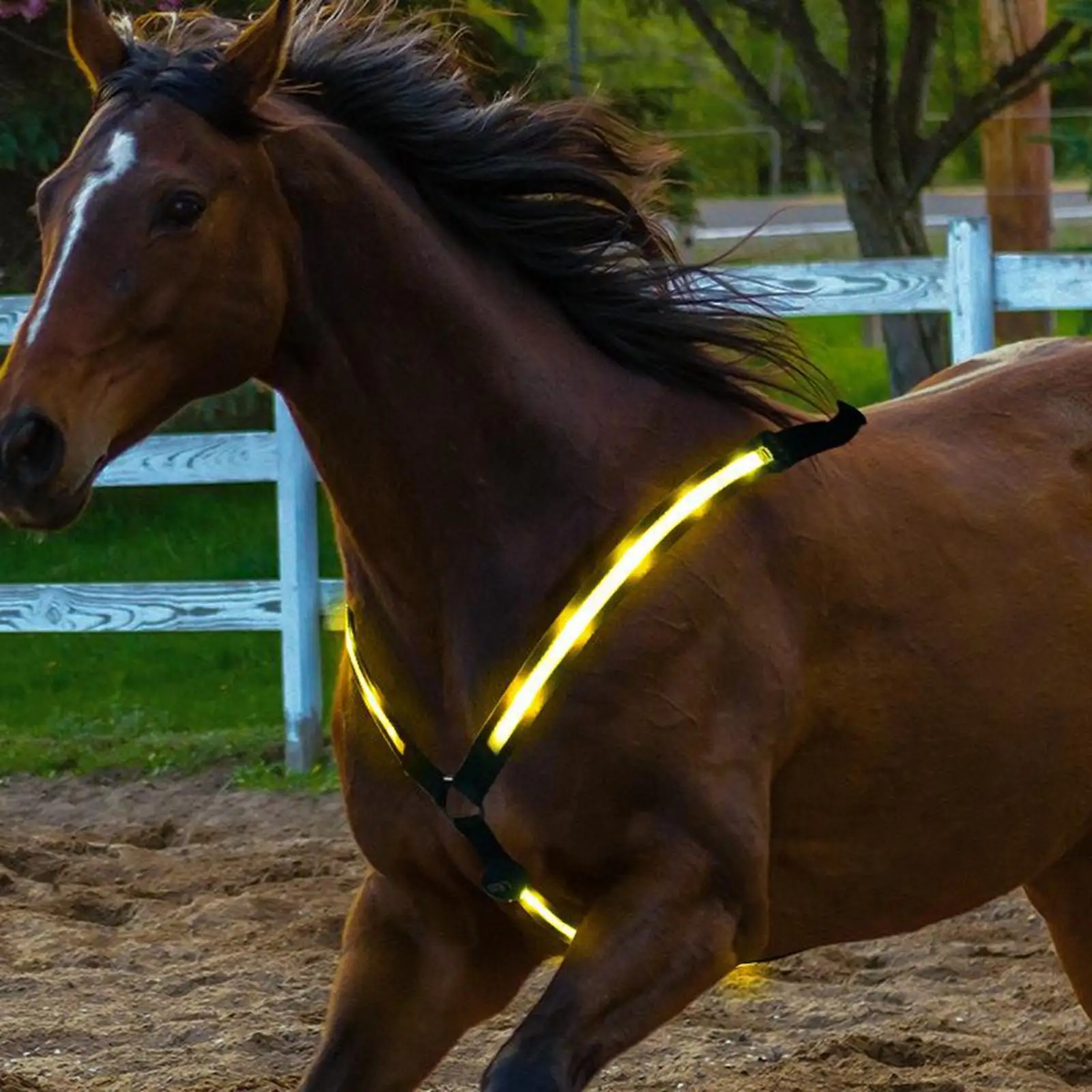 Reflective Horse Harness Breastplate   Collar Lights LED Night Visibility