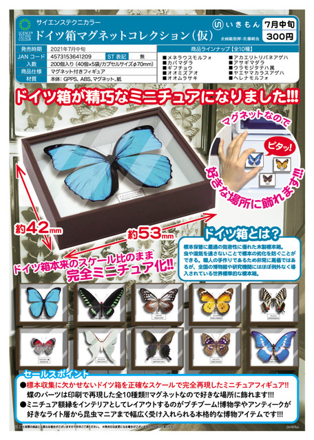 昆虫/蝶 標本箱(ドイツ製) セット40 ドイツ標本箱(小) 平面標本 5点