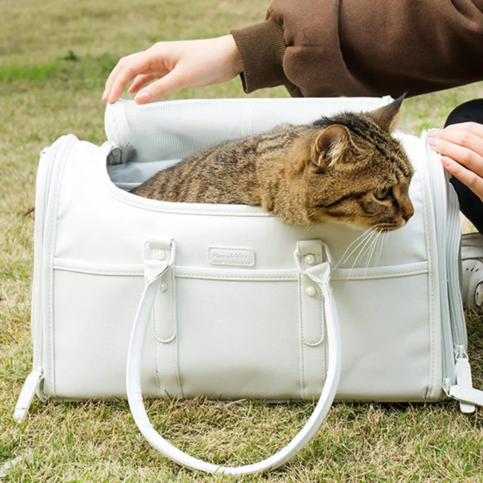 Pet Carrier Pet Travel Transport Bag Pet Bag Portable Tote Bag Dog Carrier Cat Carrier Bag for Dog Cat Outdoor Sightseeing