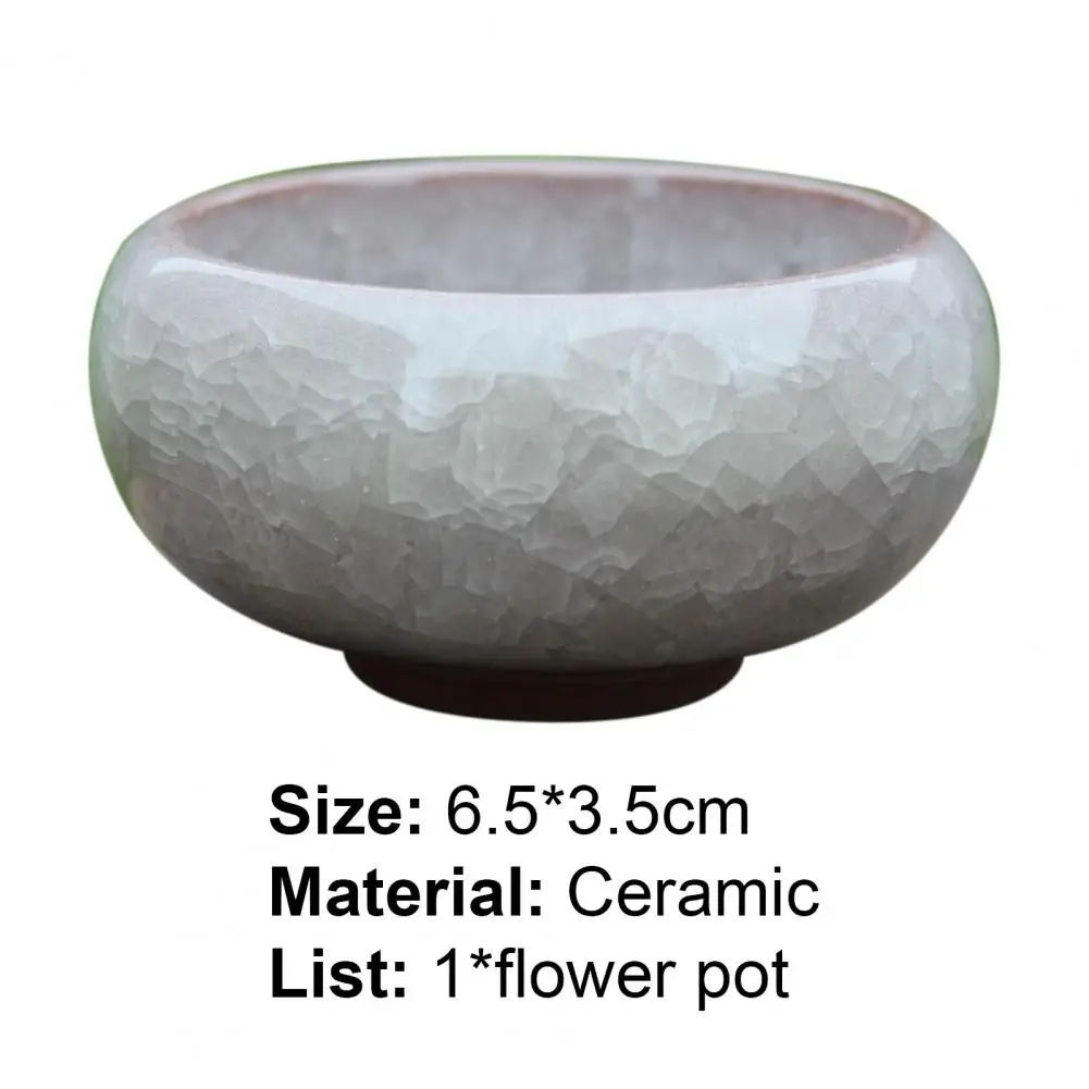 Flowerpot Attractive Compact Mini Simple Succulent Plant Planter Simple Portable Plant Pot