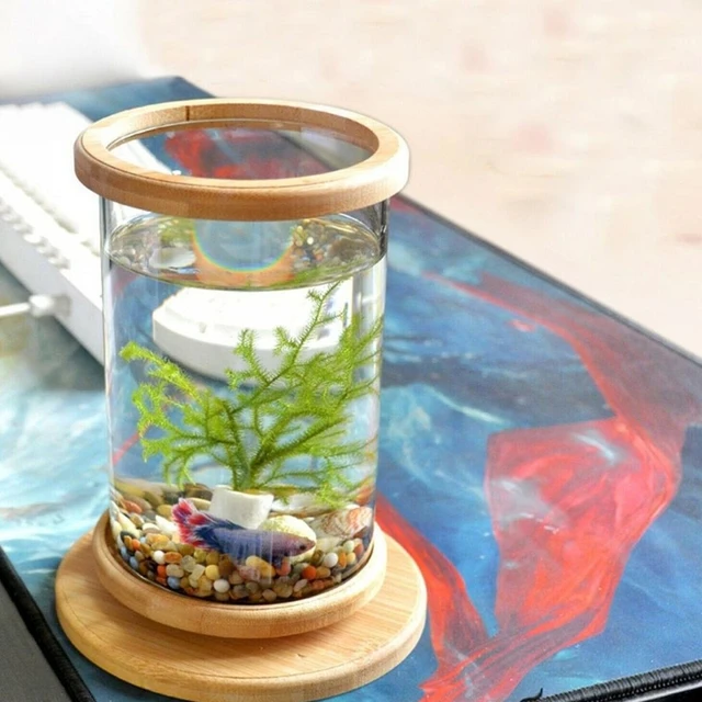  Small Fish Tank - Mini Betta Bow Tank Tiny Aquarium