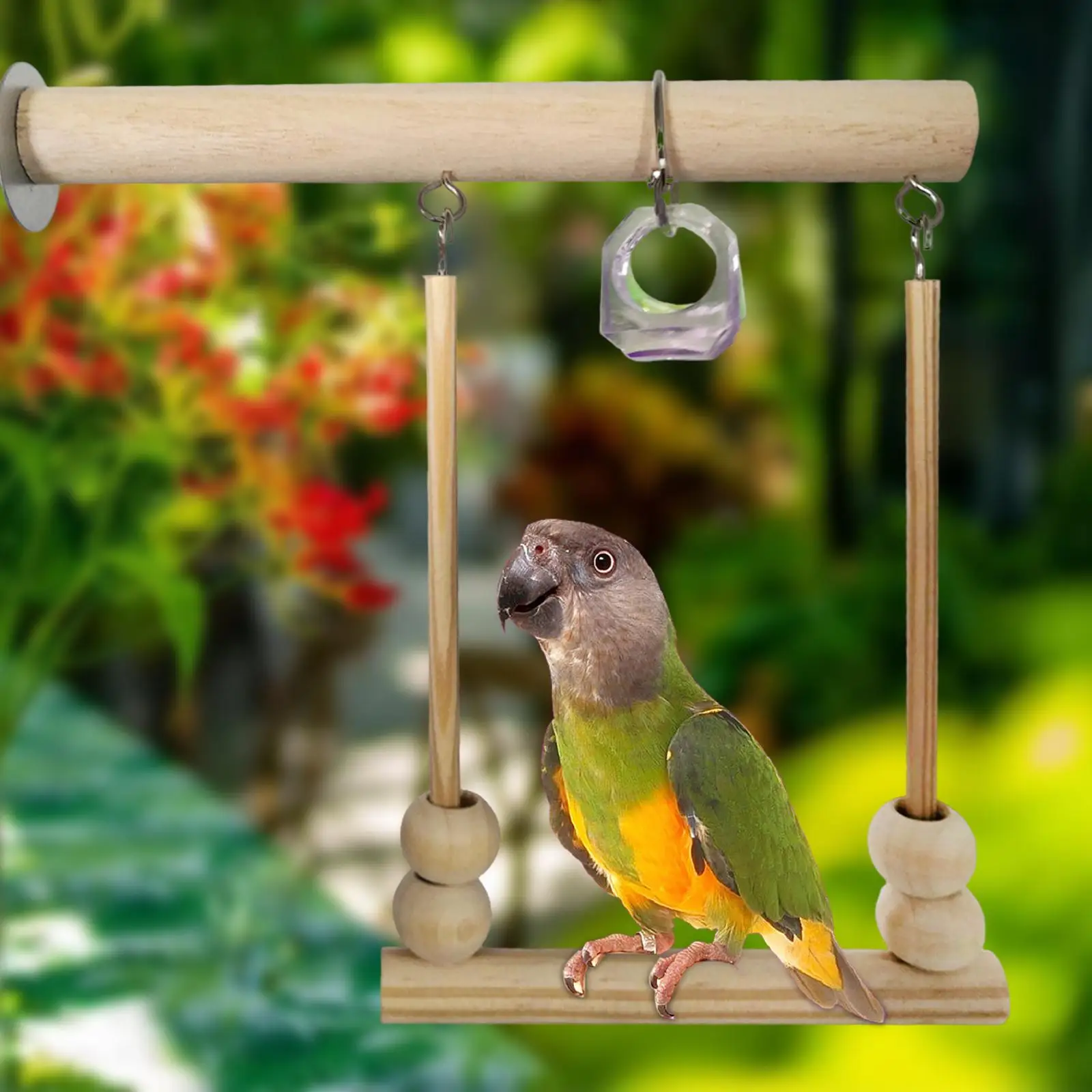 Parrot Wooden Stand Swing Cage Hanging with Chewing Bead Encourages Foot