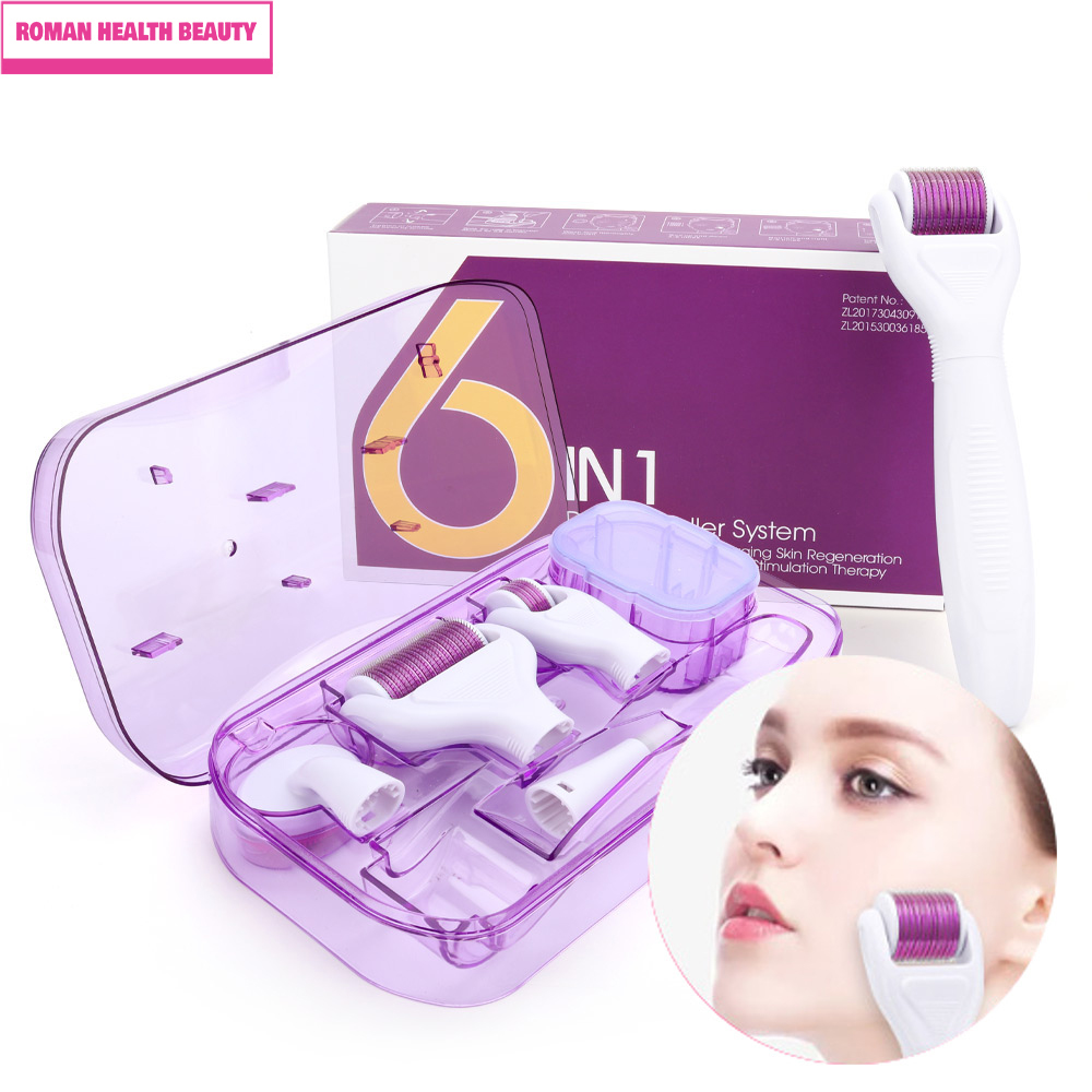 Best of 6 In 1 Microneedle Derma Roller Kit For Face Eye Body 300 / 720 / 1200 Rolling System Microneedling Facial Roller Beauty Care Tool Reviews & Tips