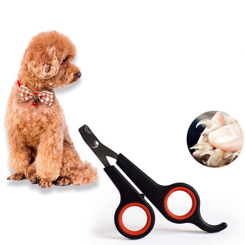 Description Picture 2 of itemStainless Steel Pet Nail Clippers, Scissors for Dog and Cat Claw Grooming, Toe Care and Trimming