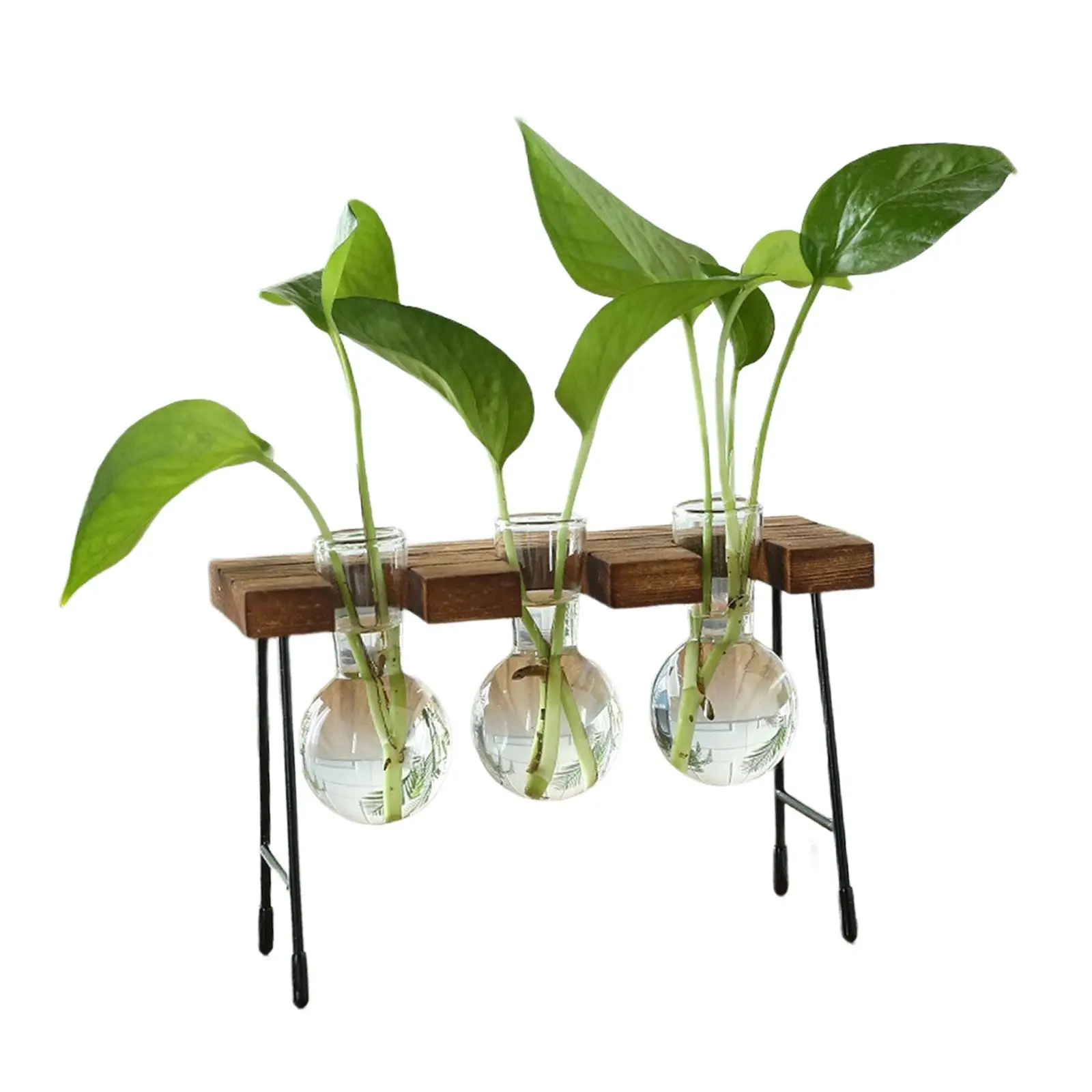 Hydroponic Flower Vase Wooden Rack Glass Flower Vase Plant Terrarium Simple for