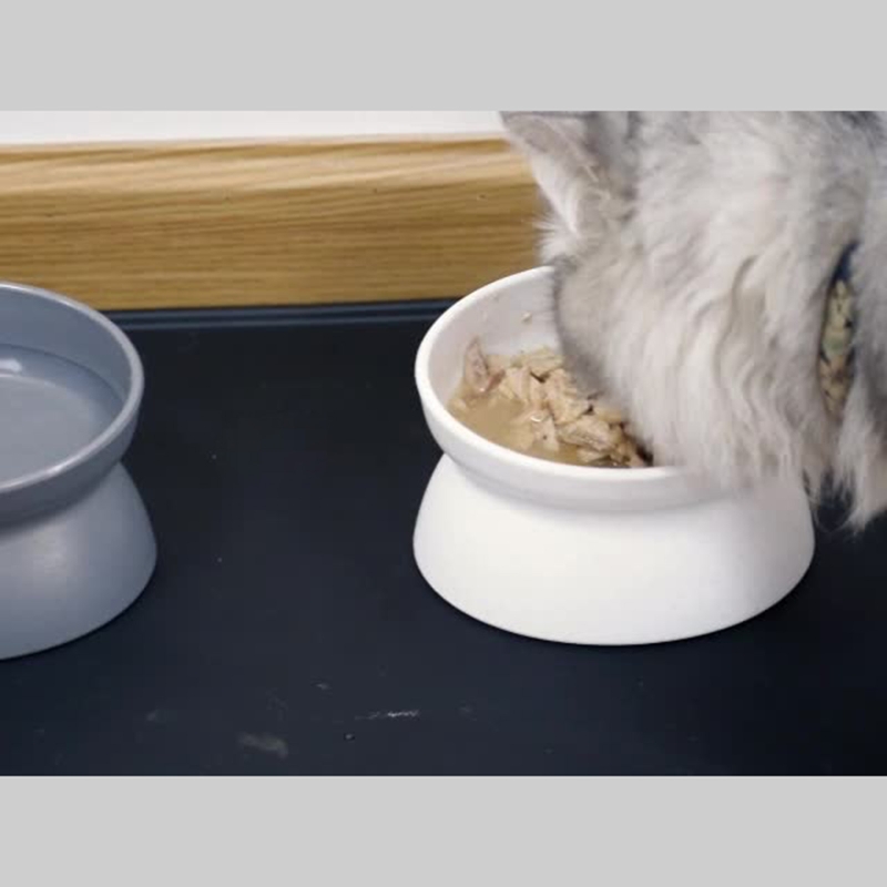 Title 10, Elevated Non-Slip Pet Bowls For Cats Water Bow...