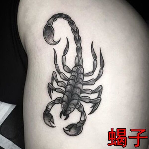 Skorpion-Tattoos für Frau, Mann, Goth, temporäre Tattoos, Punk-Hals-Arm-Tattoos, wasserdichte Tattoo-Aufkleber, Kunst, gefälschte Tattoo-Geschenke – Detail 7