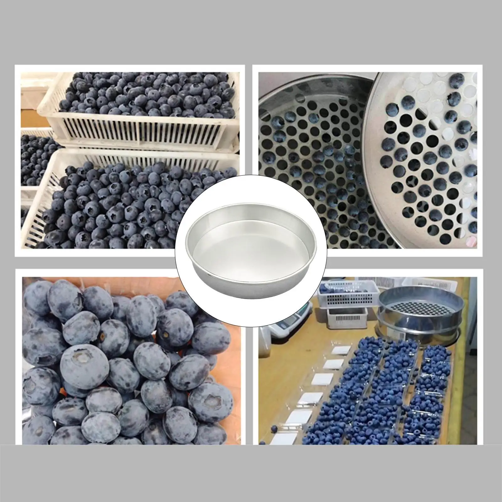 Garden Serving Tray Storage Portable Blueberry Storage Pan for Home Planting
