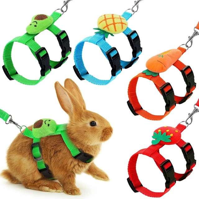 Bunny leashes outlet