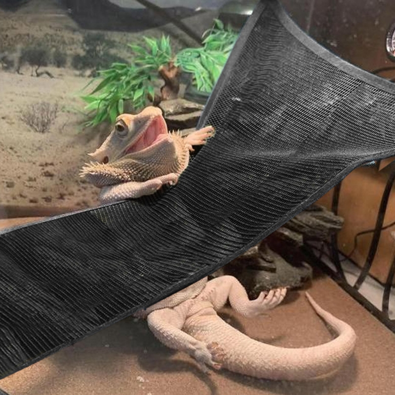 Title 10, Hammock for Reptiles Bearded Dragon Rectangle H...