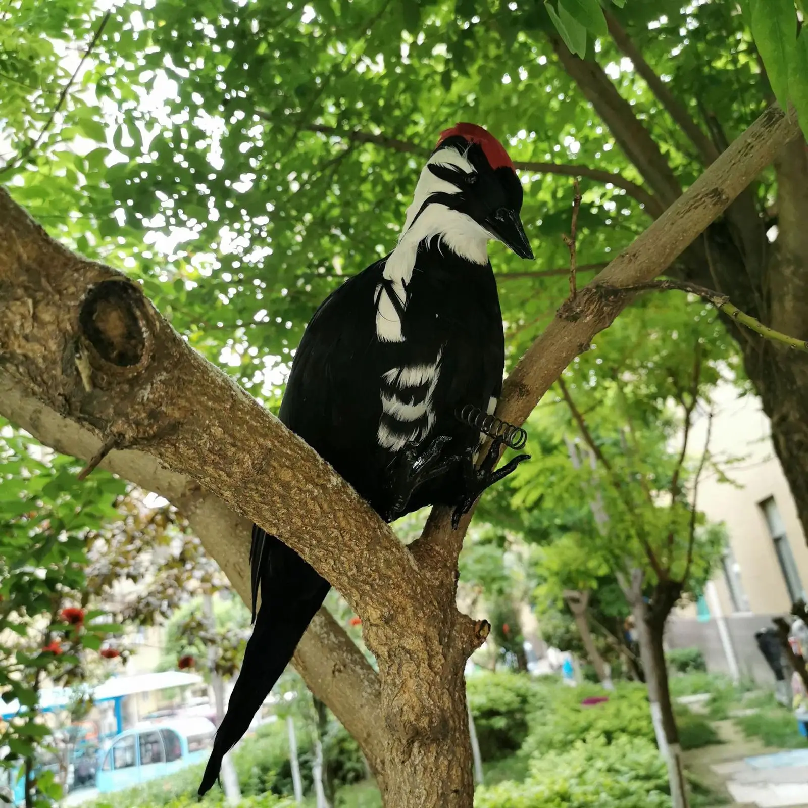 Simulation Woodpecker Bird Toys Artificial Handcrafted Art Spring Model Statue Sculpture for Home Yard Garden Decor Ornament