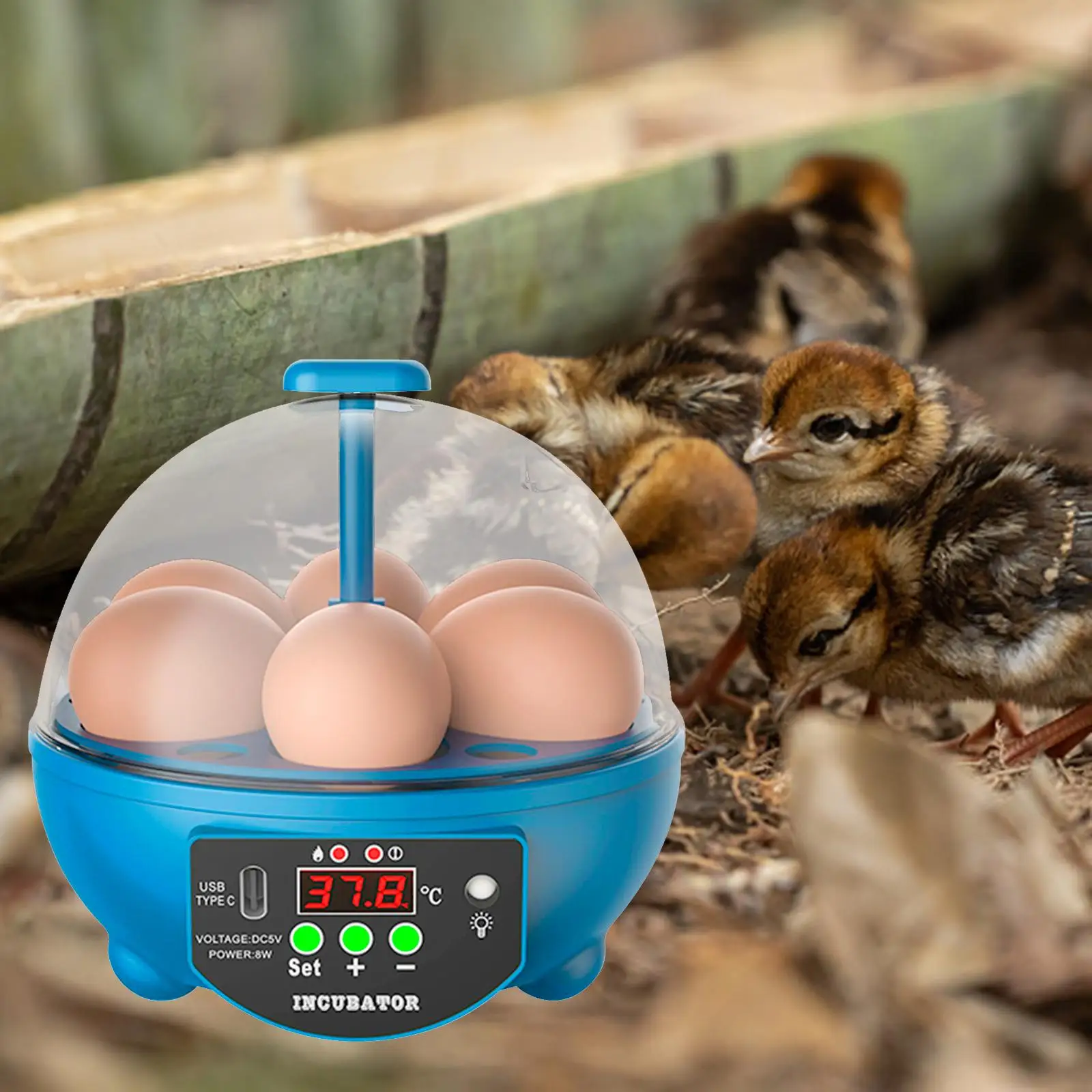 USB 6 Eggs Incubator LED Display Manual Chick Incubator for Chicken Birds