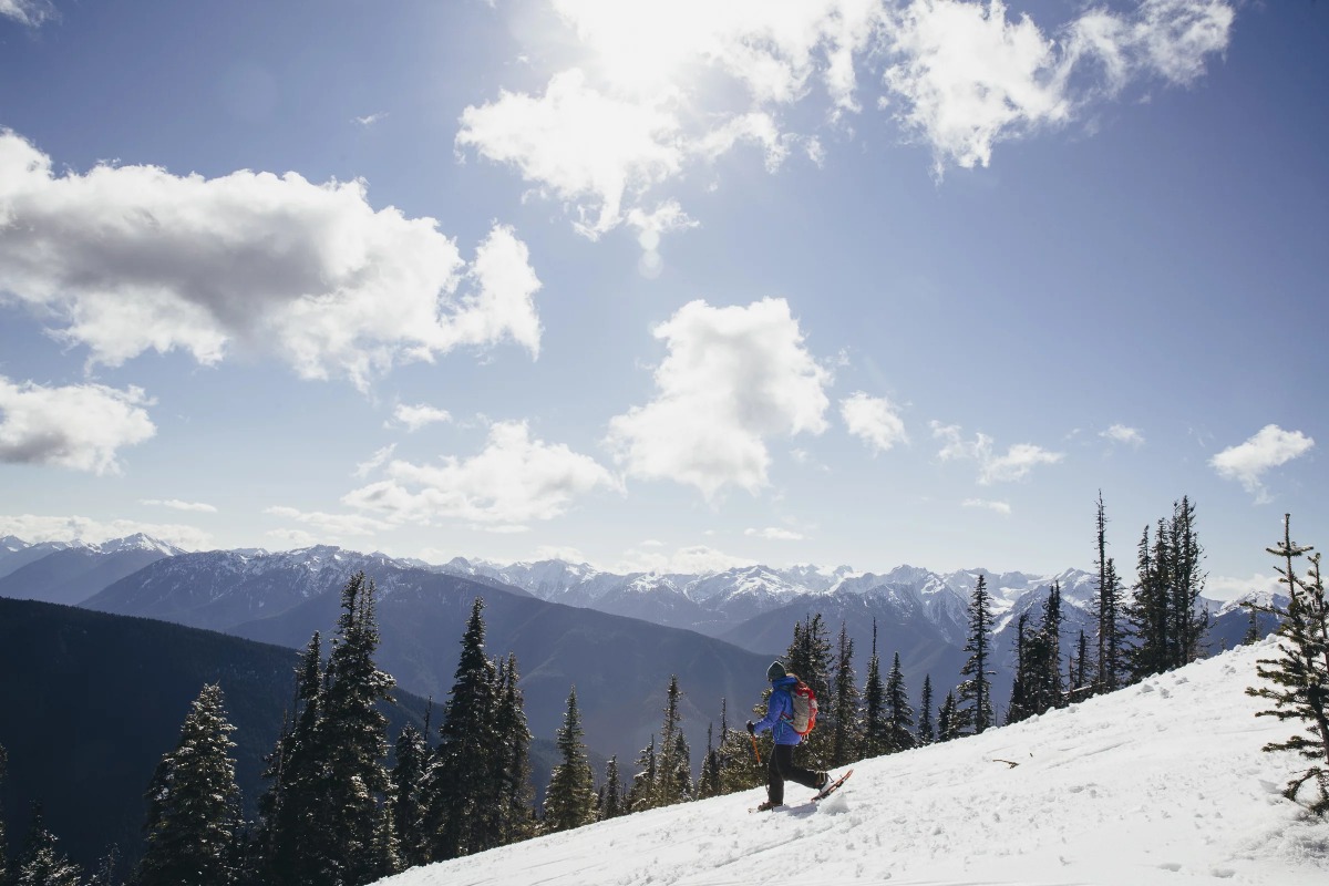 Expedition Explorer Plus Snowshoes & Trekking Poles