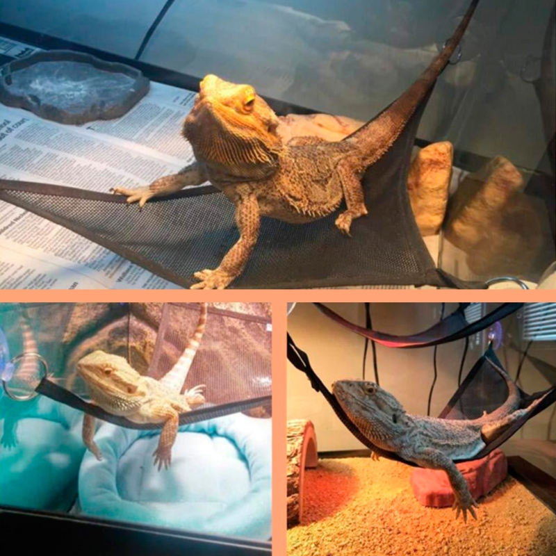 Title 3, 367A 2Pcs Reptiles Mesh Hammocks Habitat Orname...