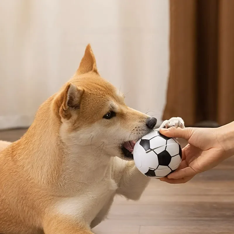 A dog bites a small Flying Saucer for Outdoor Training and Play held by a person's hand indoors on a wood floor, showcasing the fun of an interactive dog toy from The Stuff Box.