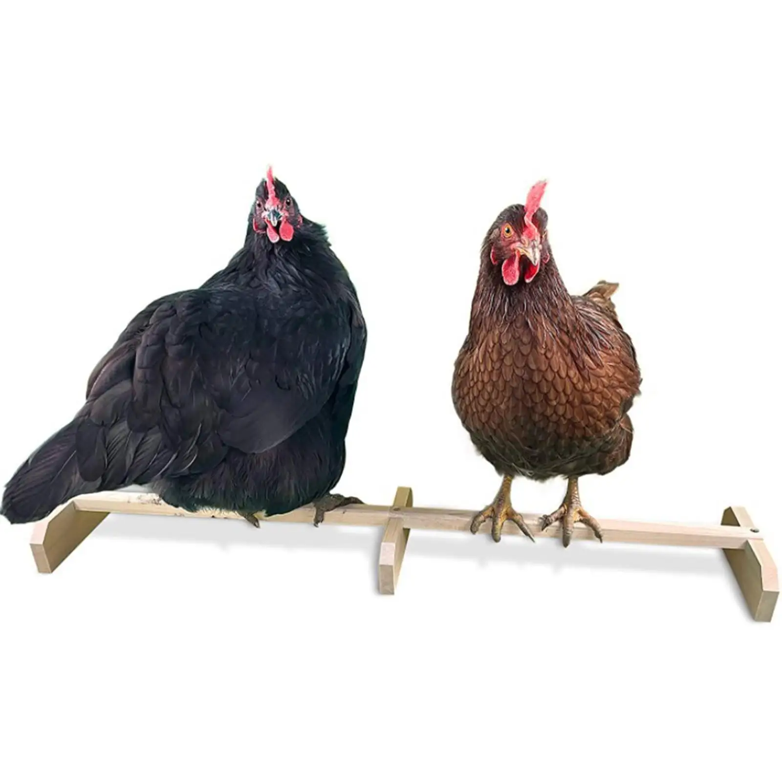 Wooden Chicken Perch Chicken Roost Accessories Chicken Toys Roosting Bar Chicken Wood Stand for Baby Chicks Macaw Hens Parrot