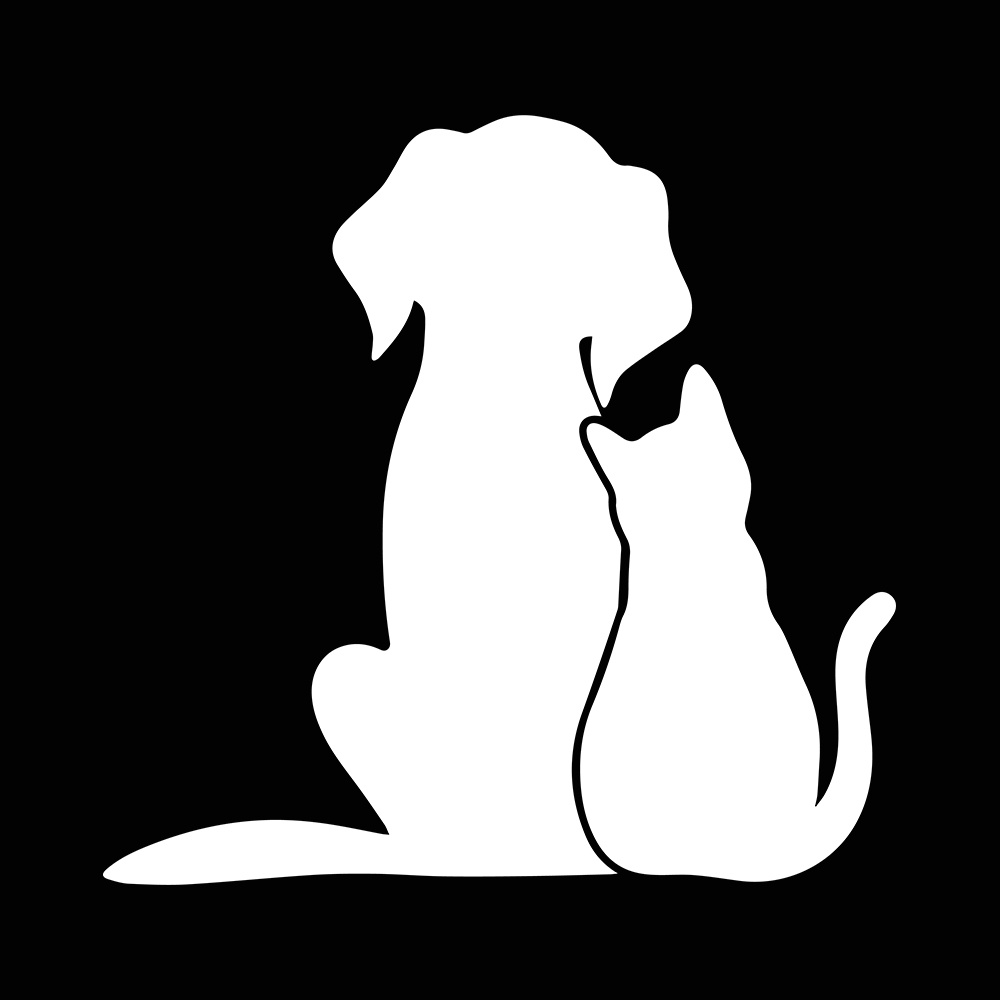 Katze und Hund Freunde Cartoon Stilvolle, Auto Produkte PVC Zubehör Aufkleber Aufkleber auf Motorrad Dekoration Persönlichkeit, Nach – Detail 2