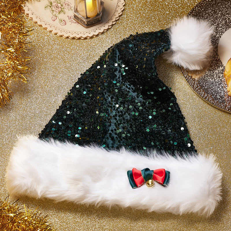 Christmas Hat Photo 12