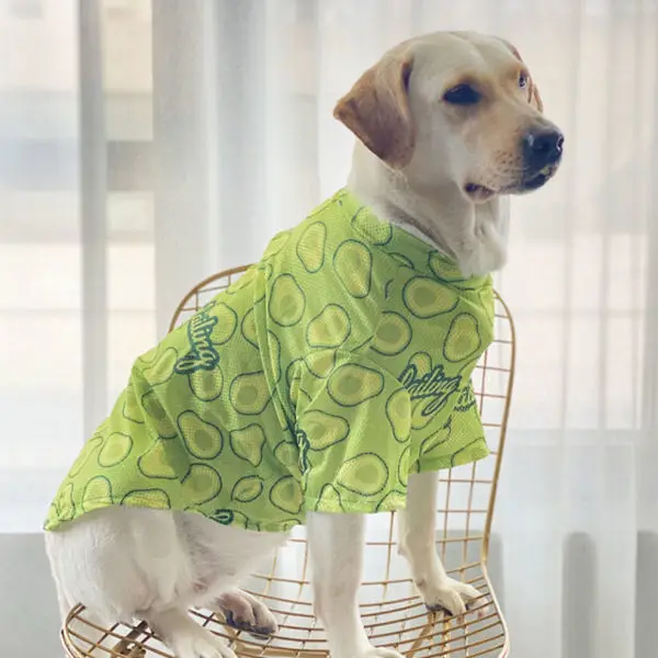 Large Dog Gucci Clothes Labrador Golden Retriever Thin Clothes